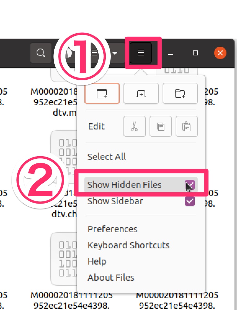 Ubuntuで隠しファイルを表示