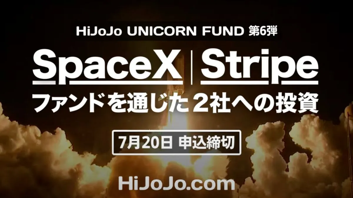 HiJoJo.com SpaceX/Stripe